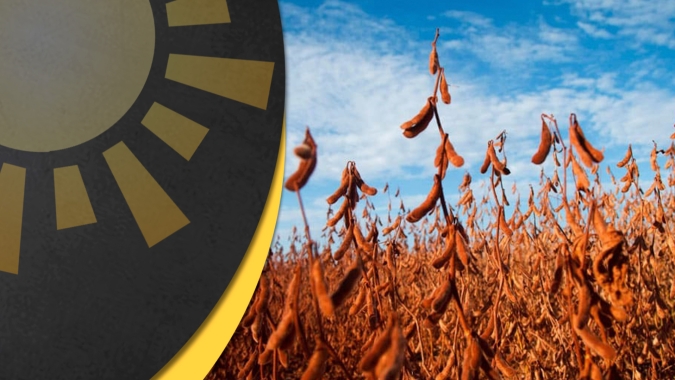 Mercado da soja deve despertar a partir da 2ª quinzena de novembro sobre problemas da safra do BR