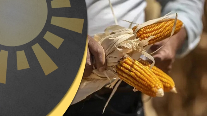 Soja e Milho: Preços devem contar com fôlego mais consistente a frente no mercado brasileiro; atenção às margens