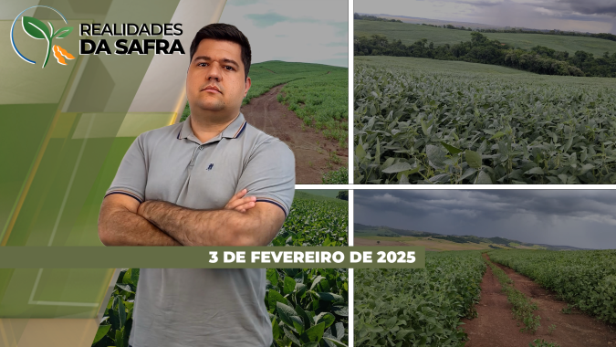 Colheita da soja avança com perdas no Paraná e segue lenta diante das chuvas em Goiás