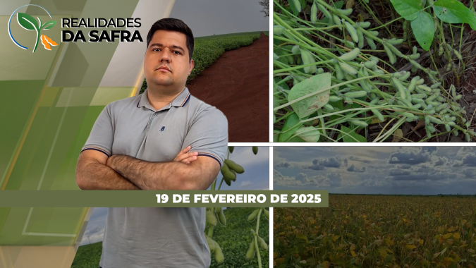 Chuva está dificultando a colheita da soja em Tapurah/MT, Rondon do Pará/PA e Chapadão do Sul/MS