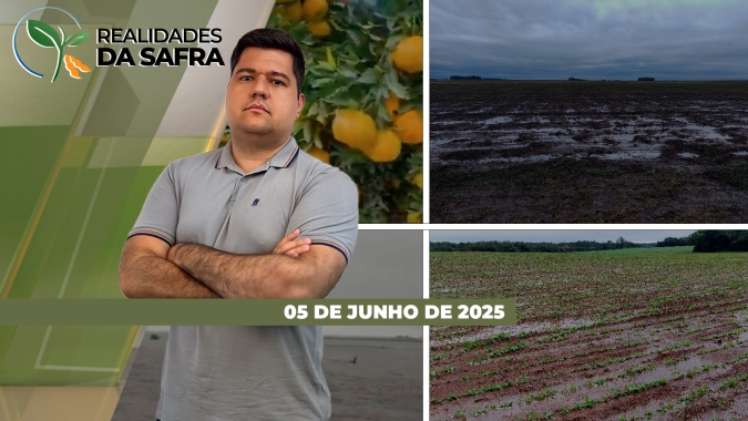 Colheita do milho começando ainda de maneira pontual em Tocantins e no Paraguai