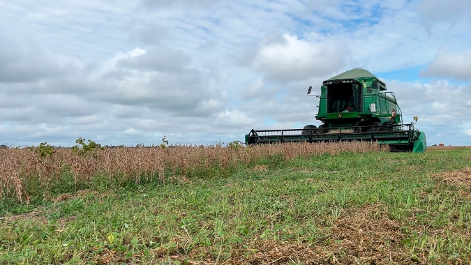 Terra do açaí e do dendê abre espaço para agricultura empresarial e Pará expande as fronteiras do Agro