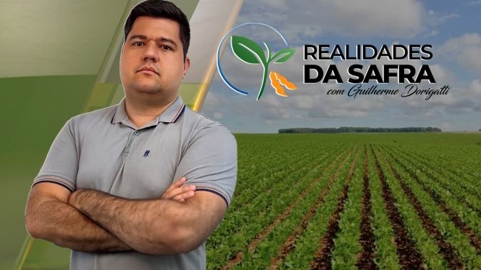Produtores de milho esperam chuvas até maio e os de algodão iniciam manejo de doenças