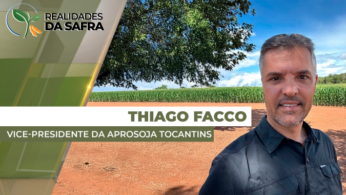 Colheita do milho começa pontualmente em Tocantins com projeção entre 90 e 100 sc/ha