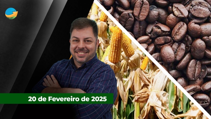 Cotação do café arábica derrete em NY e perde patamar dos US$ 4,00/lbp ; Milho sobe na B3 e supera os R$82,00/saca