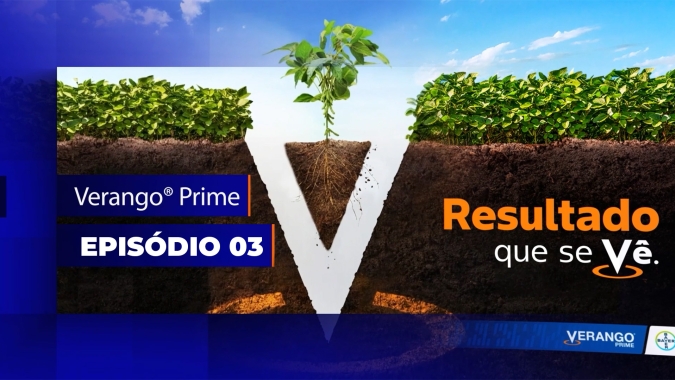 Verango® Prime: inovação e modo de ação diferenciado contra os nematóides