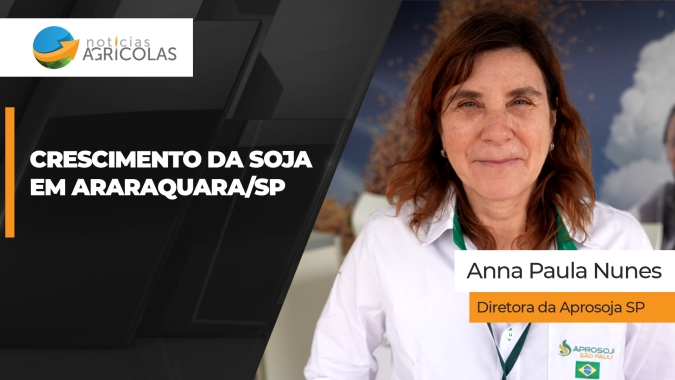 Araraquara/SP tem potencial forte na soja diante da reforma da cana-de-açúcar