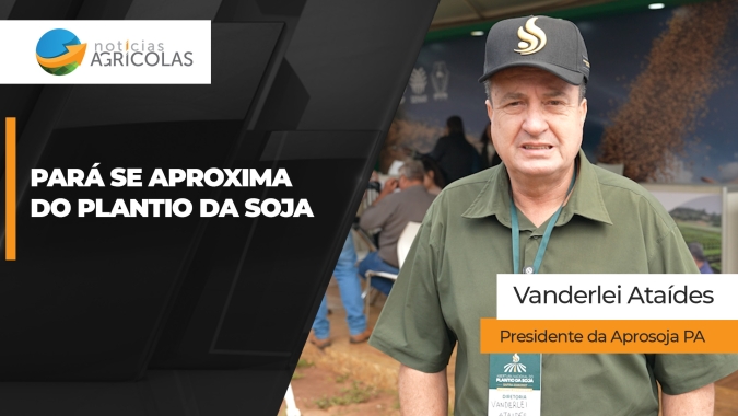 Produtores se preparam para iniciar plantio da soja no Pará com otimismo e empreendedorismo