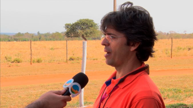 Mais comida para o gado não necessariamente irá refletir maior ganho de peso