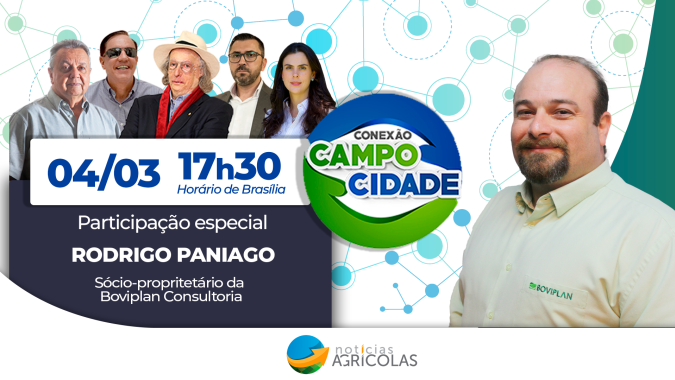 Mercado de carne vermelha tem cortes esquecidos e penaliza pecuarista que investe mais na produção