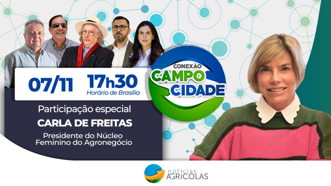 Brasil protagoniza discussões da COP 27, com o mercado de carbono como principal pauta