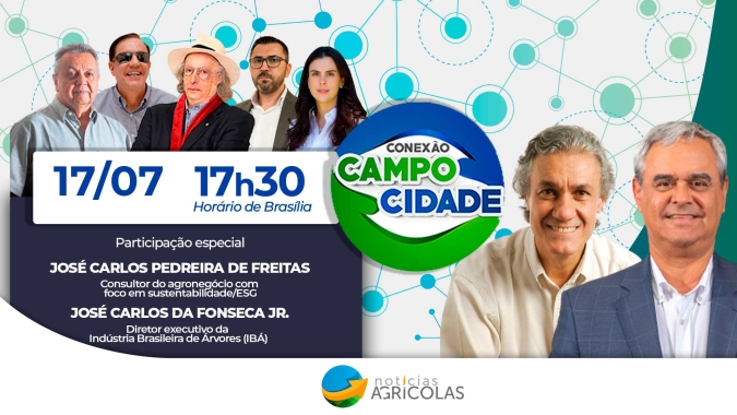 Florestamento: sustentabilidade e oportunidades de renda