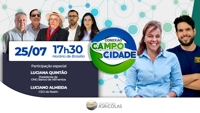 A comida que não chega à mesa: desperdício de alimento versus a fome no Brasil