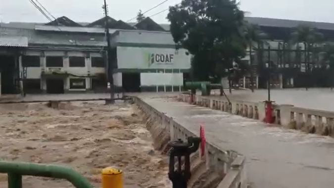 Qualidade da safra de cana em xeque: Seca no Centro-Sul e em PE chuvas causam danos; veja vídeo