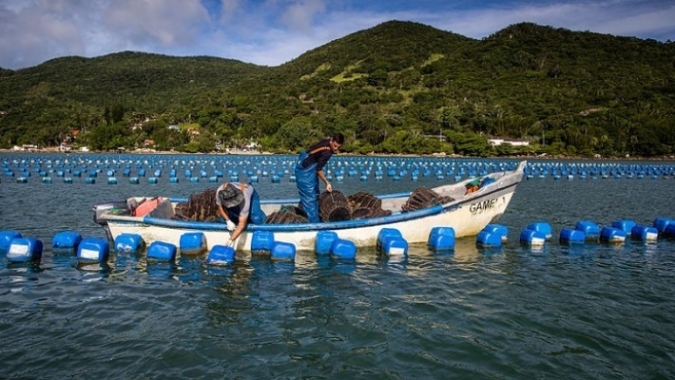 CNA destaca aprovação do PL que dá segurança jurídica à aquicultura