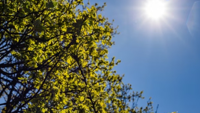 Nordeste segue sem alertas climáticos, mas litoral ainda pode registrar chuva fraca nos próximos dias