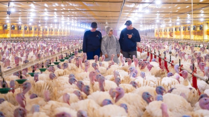 MBRF avança no BBFAW e está entre as 12 empresas mais bem avaliadas do mundo em bem-estar animal