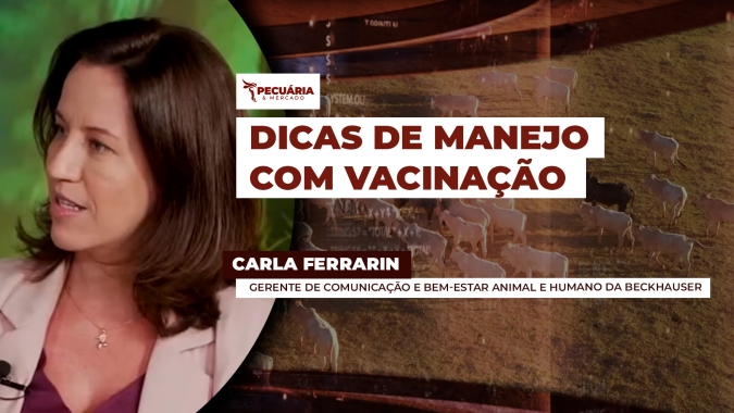 Dicas que podem facilitar o manejo dos animais no dia a dia e auxiliar nos resultados da vacinação