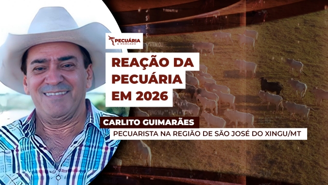 Pecuarista de MT confirma oferta restrita de animais e projeta cenário promissor para arroba até o final do ano