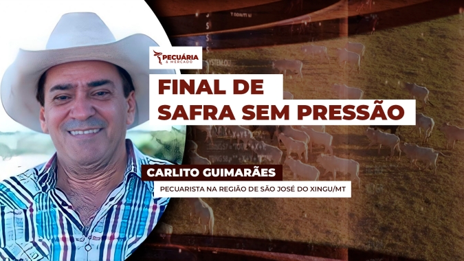 Pressão de oferta no final de safra pode ser amenizada pelas boas condições das pastagens no Centro-Norte do país