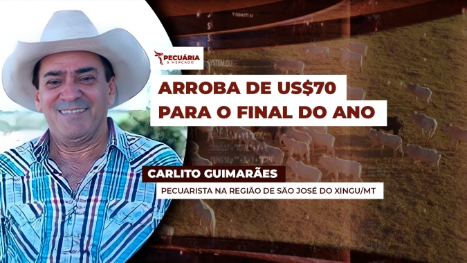 Pecuarista acredita em arroba em alta ainda neste mês, com movimento atingindo US$70 no final do ano