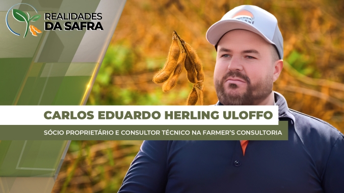 Maringá/PR fechou safra de soja com perda de produtividade e já enfrenta dificuldades no milho