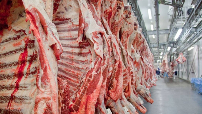 Abertura de mercado no Suriname para bovinos vivos destinados ao abate
