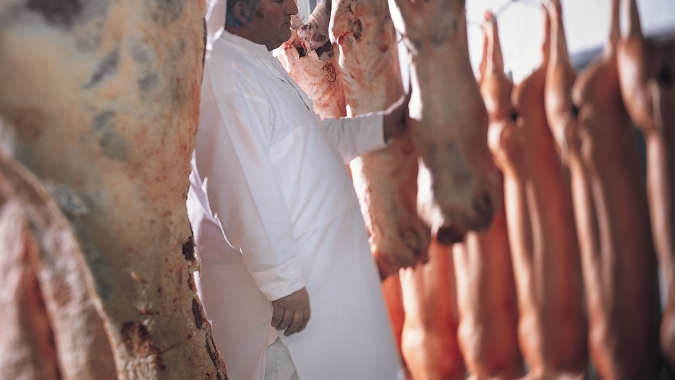 ABPA celebra anúncio do MAPA sobre retomada do pre-listing para exportações de carne de aves à União Europeia