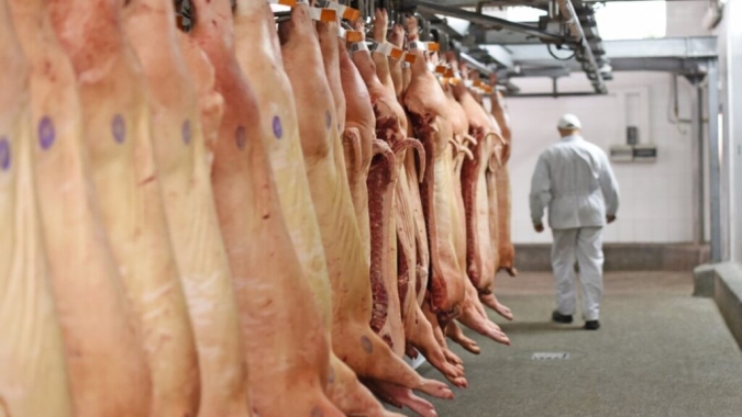Suinocultura global: alta dos grãos eleva custo da ração na China e aprofunda crise de rentabilidade