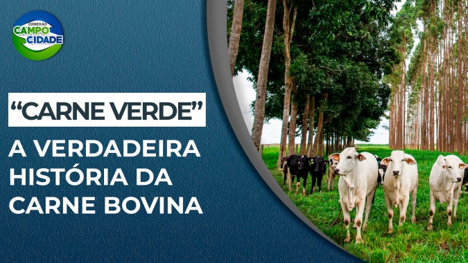 "Carne verde": a verdadeira história da carne bovina aliada à sustentabilidade