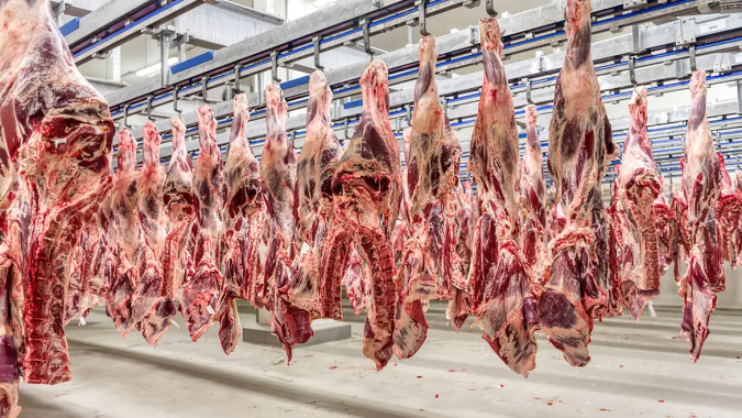 Em quatro semanas Brasil já exportou mais carne bovina do que em todo janeiro/25