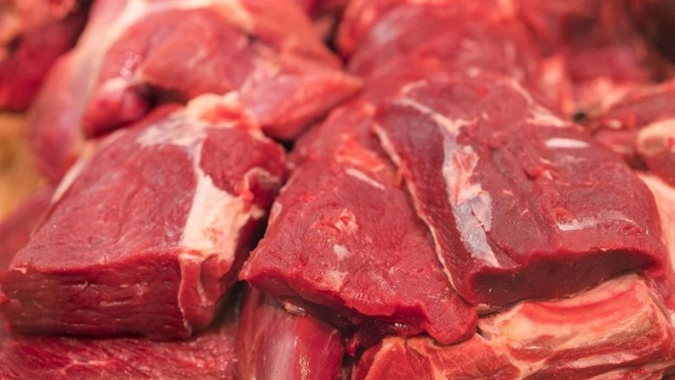 Média diária embarcada de carne bovina tem ganho de 70% até terceira semana de abril/24