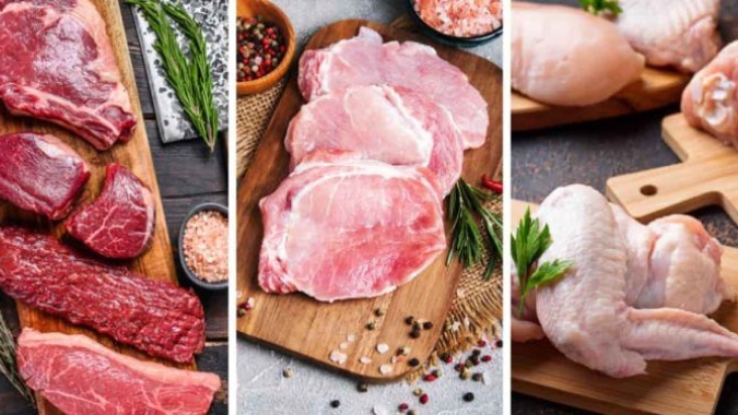 Conab: Produção de carnes ultrapassa 31 milhões de toneladas em 2024 e atinge novo recorde na série histórica