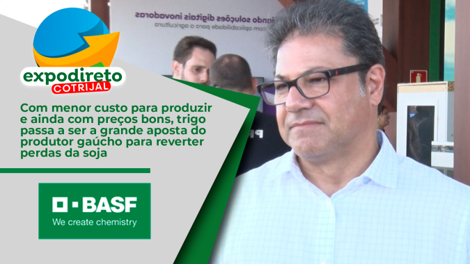 Com menor custo para produzir e ainda com preços bons, trigo passa a ser a grande aposta do produtor gaúcho para reverter perdas da soja