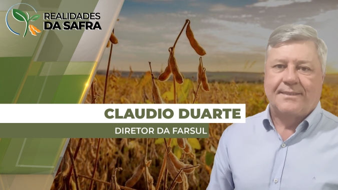 Região das Missões no Rio Grande do Sul já tem perdas de 45% na produtividade da soja