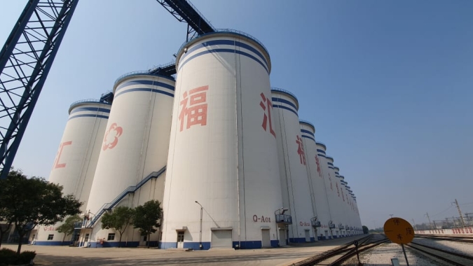 Direto da China, Labhoro e Notícias Agrícolas confirmam protagonismo da soja do BR