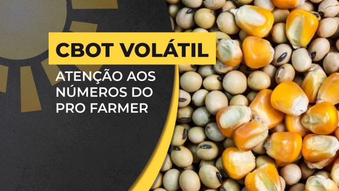 Soja & Milho: Semana é de volatilidade em Chicago com foco no clima americano e chegada dos números do Pro Farmer Crop Tour