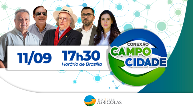 Cooperativas de Crédito: qual o papel delas no fortalecimento do agronegócio brasileiro?
