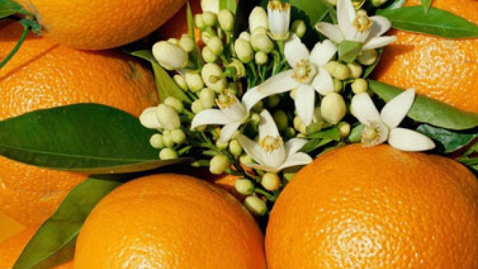 Reino Unido suspende tarifas de suco de laranja por dois anos