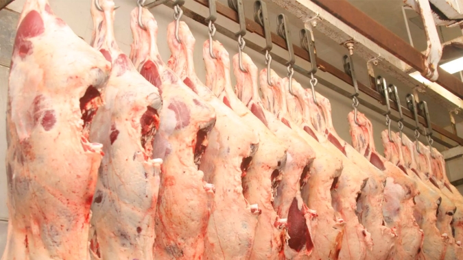 Mapa reúne representantes do setor frigorífico para falar sobre mercado da carne bovina