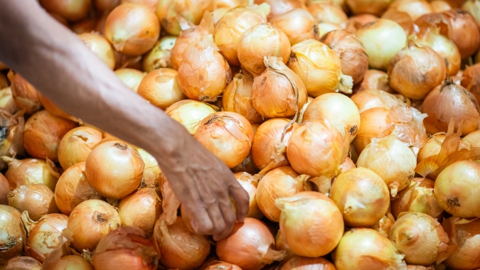 Cebola/Cepea: Plantios no Cerrado avançam, mas problemas em 2025 já refletem em queda de área