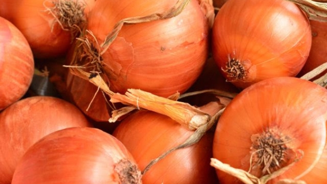 Cebola/Cepea: Preços sobem, mas permanecem abaixo dos custos de produção