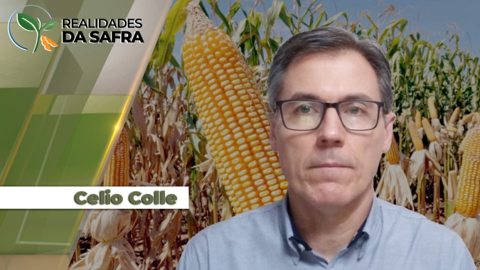 Emater/RS projeta aumento de área para soja, feijão e arroz e diminuição no milho para safra 24/25