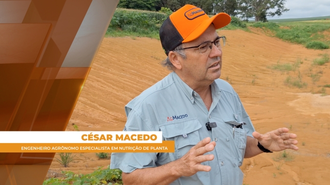 Argila amarela do norte do Pará é terra rara na produção de grãos