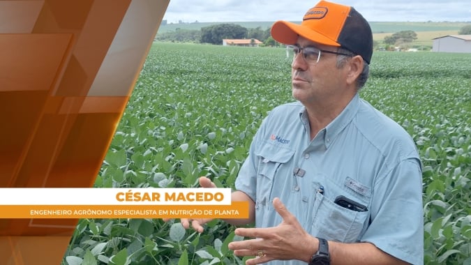 Atmosfera úmida e coberta de nuvens é o desafio na hora de plantar no norte do Pará