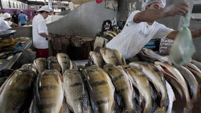 OMC quer concluir negociações sobre subsídios à pesca até junho