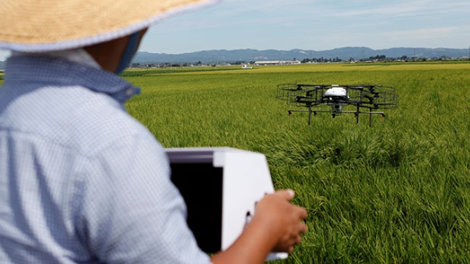 Compartilhamento de dados do crédito rural vai turbinar crescimento das fintechs do agro, por Renato Aragon