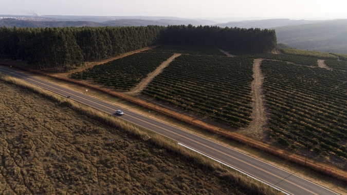 Cafés da Região da Chapada de Minas conquistam Indicação Geográfica