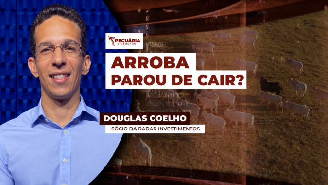 Pressão na arroba diminui em SP, mas ainda é cedo para falar em nova tendência para os preços