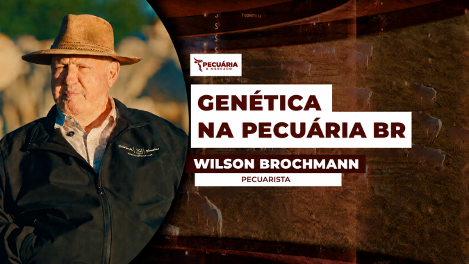 Como o selecionamento genético do rebanho tem impactado nos resultados da pecuária brasileira